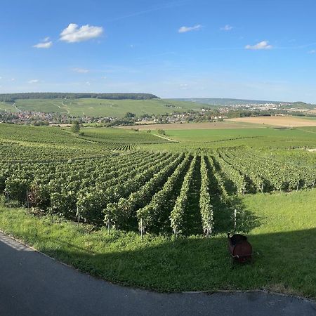 فيلا Au Coeur Du Terroir Champenois Chavot-Courcourt المظهر الخارجي الصورة