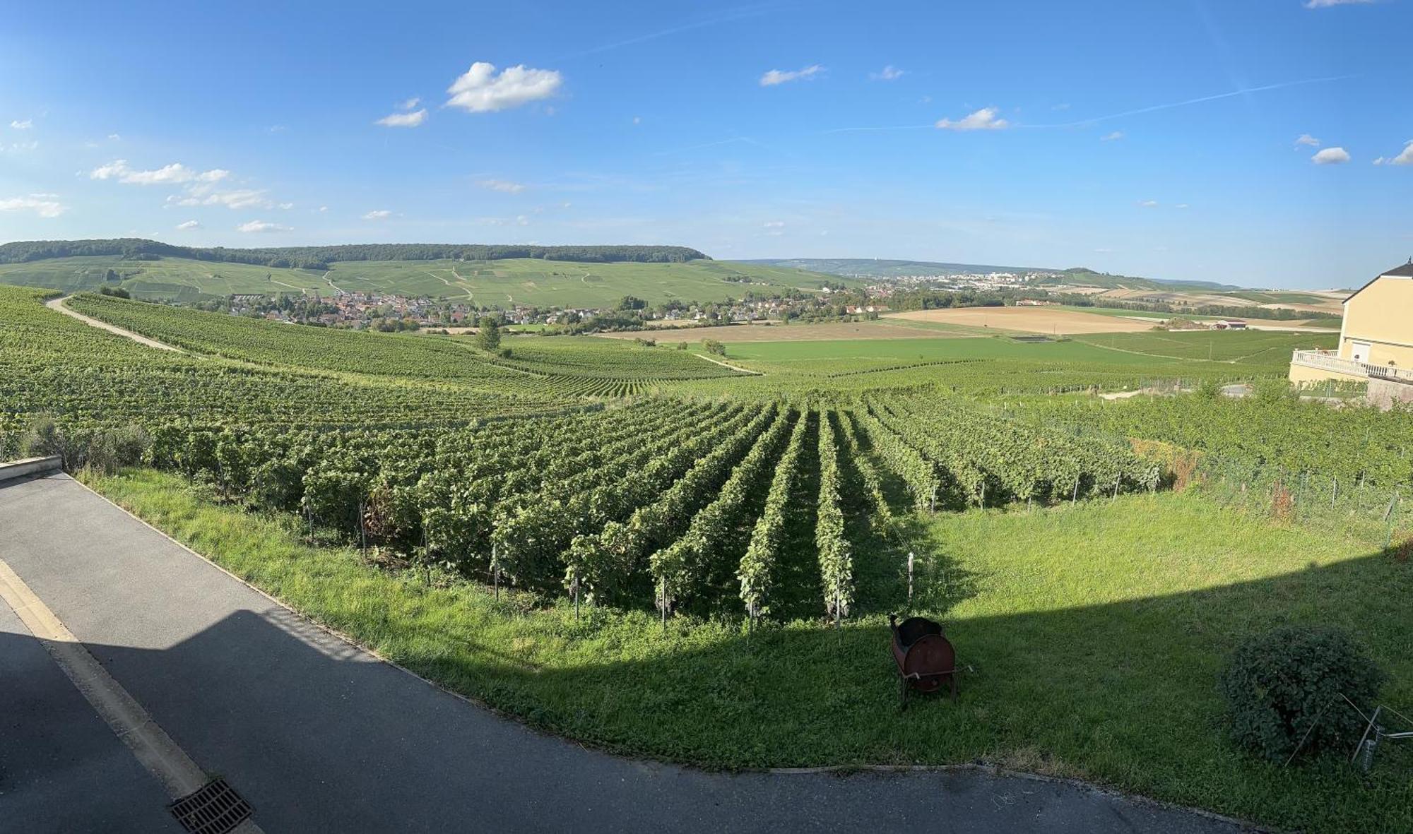 فيلا Au Coeur Du Terroir Champenois Chavot-Courcourt المظهر الخارجي الصورة