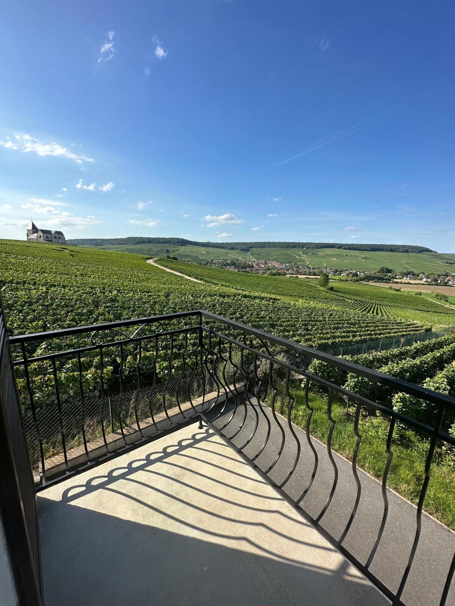 فيلا Au Coeur Du Terroir Champenois Chavot-Courcourt المظهر الخارجي الصورة