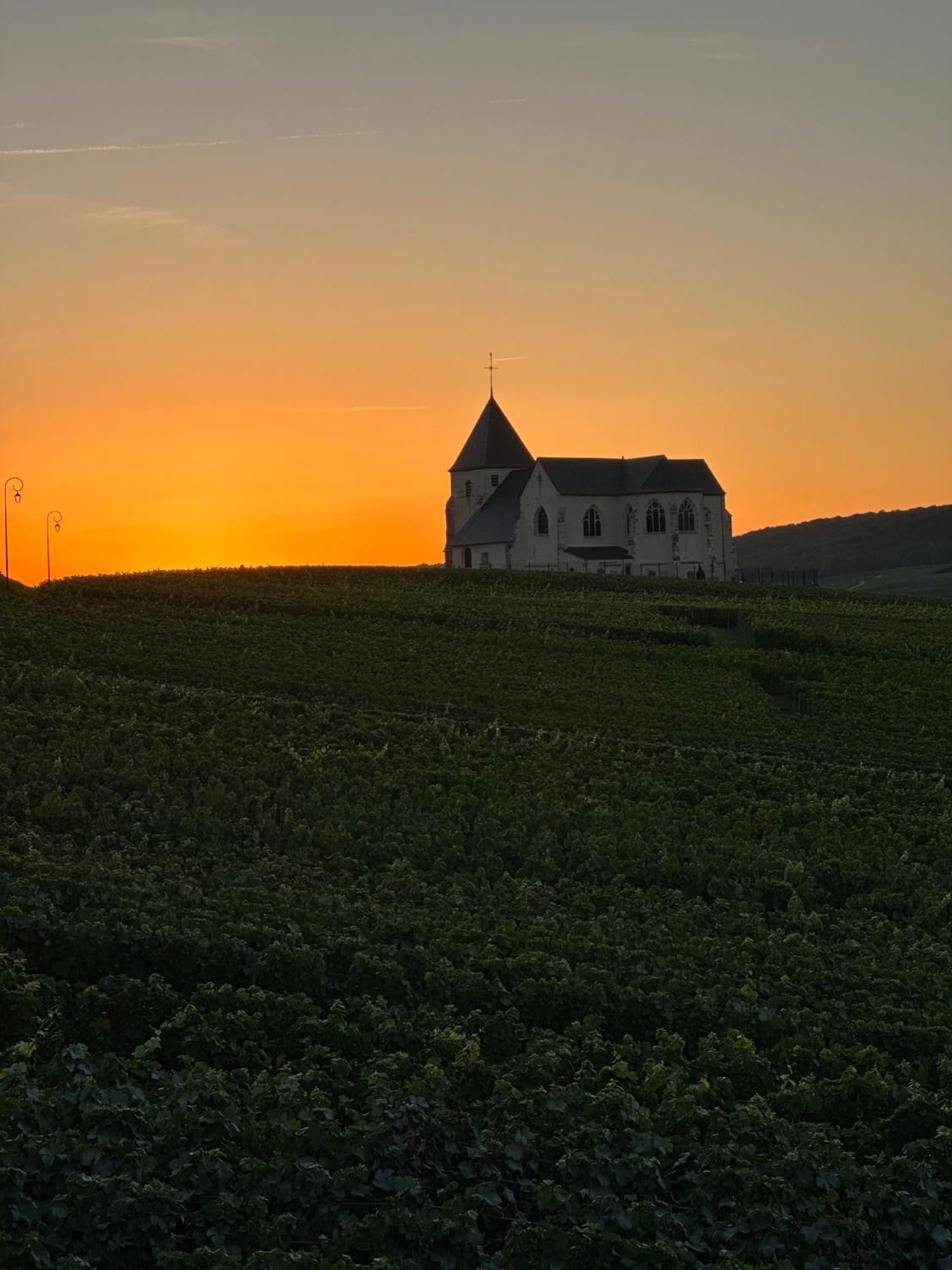 فيلا Au Coeur Du Terroir Champenois Chavot-Courcourt المظهر الخارجي الصورة